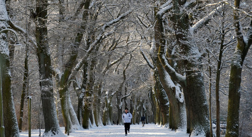 Der Bremer Bürgerpark im Winter